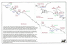 lut15 kola b 1823_thumb.gif